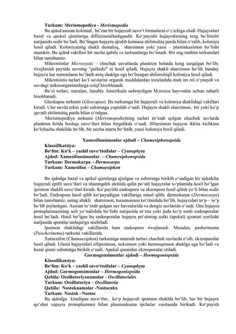 Ko’k – yashil suvo’tlar bo’limi – Cyanophyta. 4