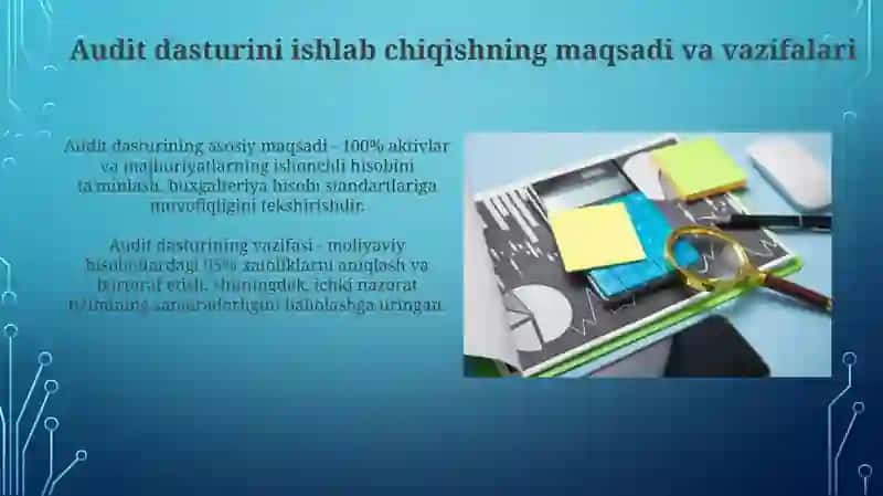 Audit dasturini tuzish va undan foydalanish tartibi 4