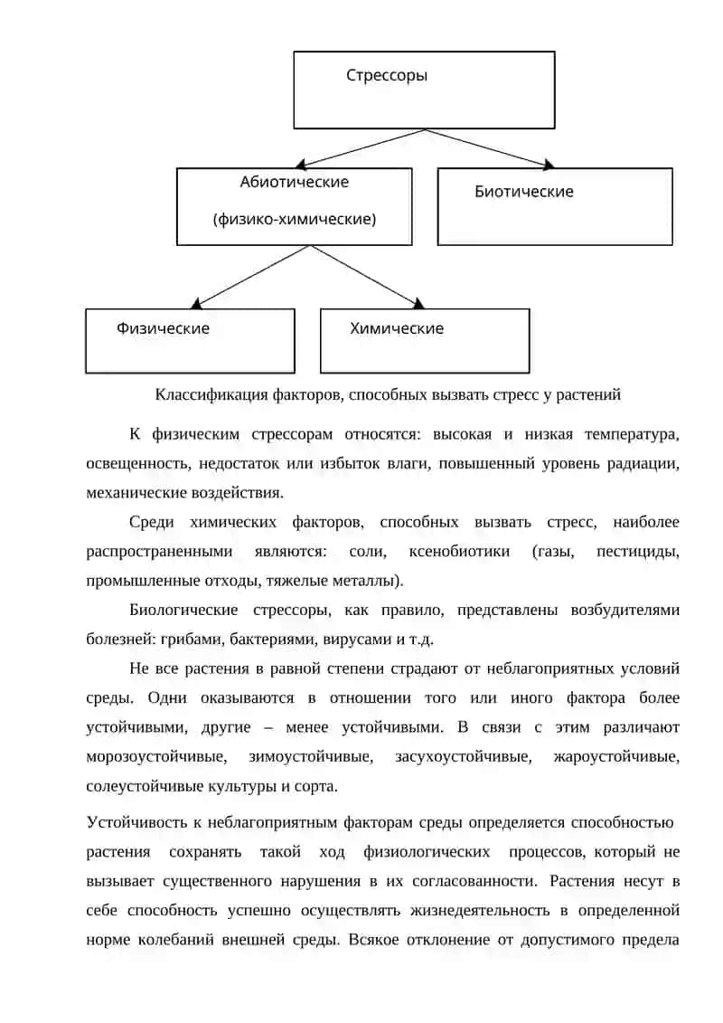 Стресс адаптация и устойчивость 4
