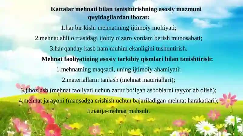 MAKTABGACHA TA’LIM TASHKILOTLARIDA  MEHNATNI TASHKIL ETISH SHAKLLARI. 4