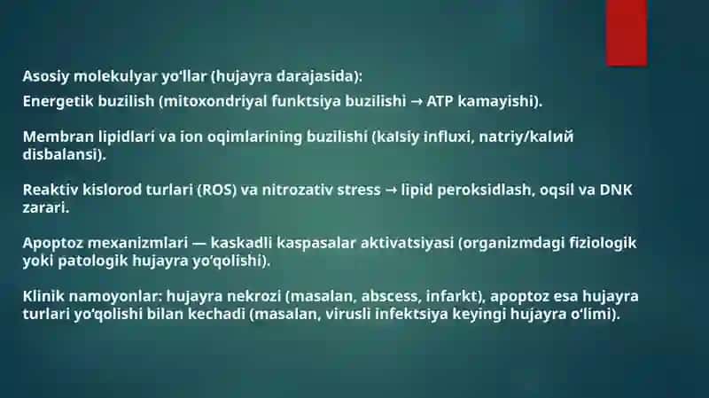 Yallig‘lanishpatofiziologiyasi.Alteratsiya, tomir reaksiyalari 4