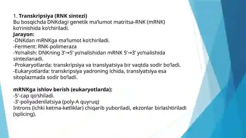 Oqsilbiosintezi ingibitorlari 4