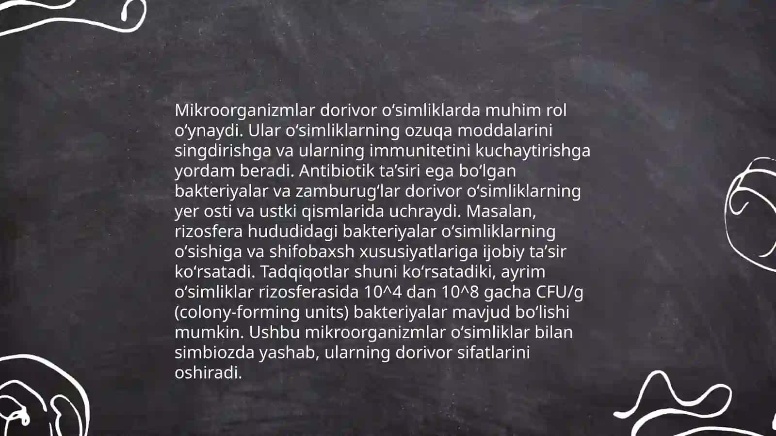 Dorivor oʻsimliklar xomashyosining mikroflorasi 4