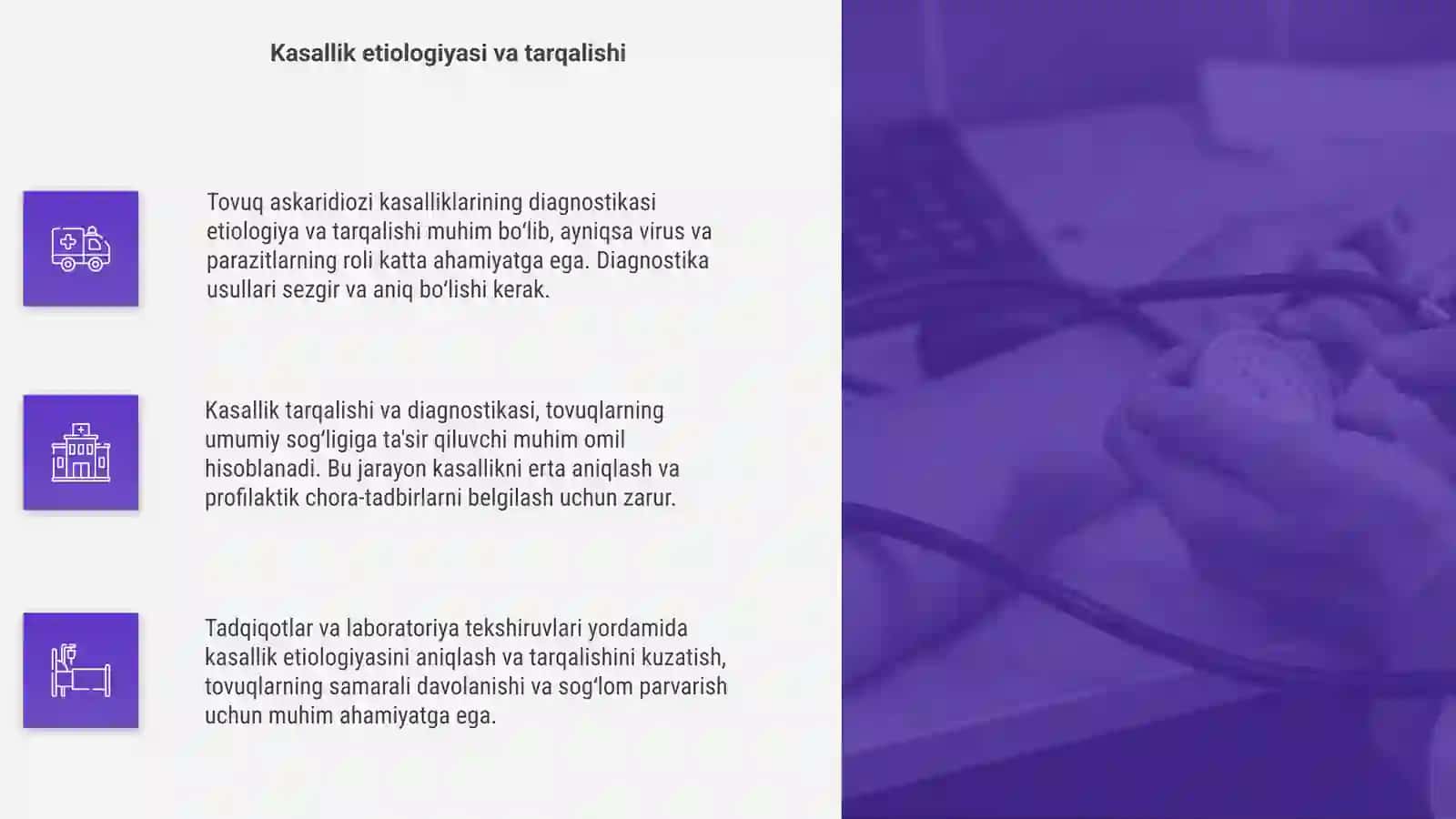 Tovuq askaridiozi kasalliklari diagnostikasi 4