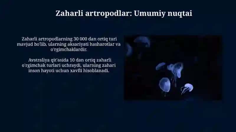 Zaharli meduzalar, molyuskalar va bo‘g‘imoyoqlilar 4