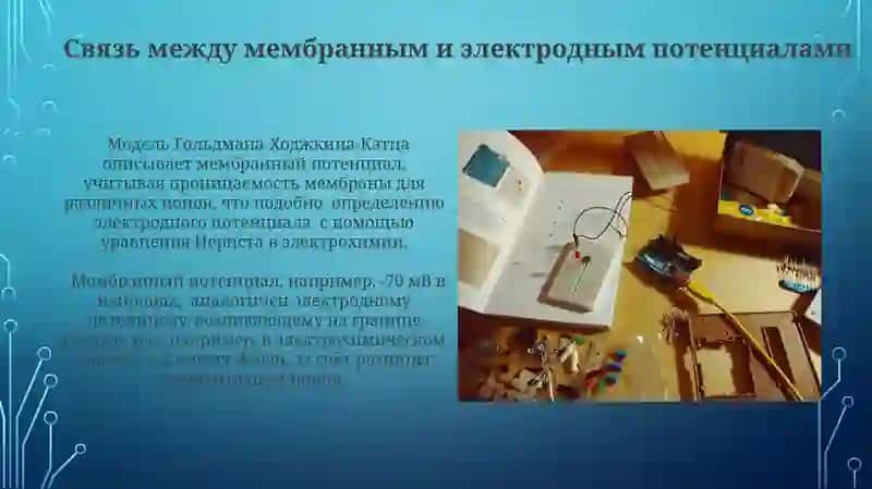 Механизм воздникновения электродного, редокс-имембранных потенциалов 4