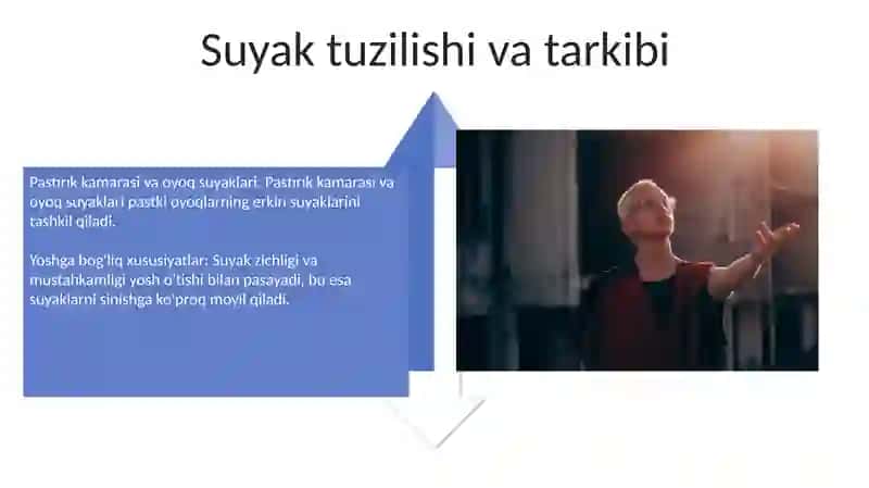 Chanoq Kamari va Oyoqning Erkin Suyaklari 4