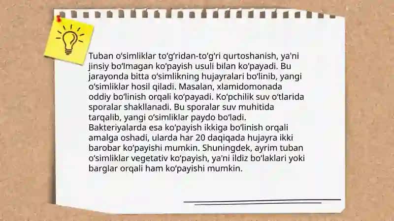 Tuban oʻsimliklar yuksak oʻsimliklar 4