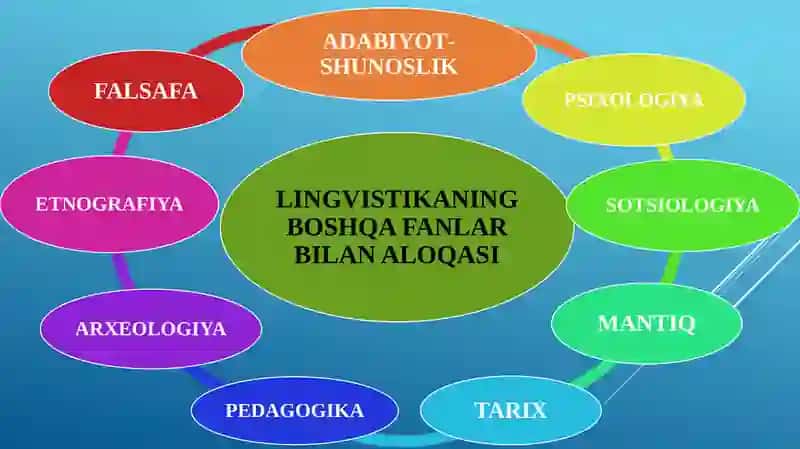 XX-XXI asrlar tilshunosligining zamonaviy yo‘nalishlari 4