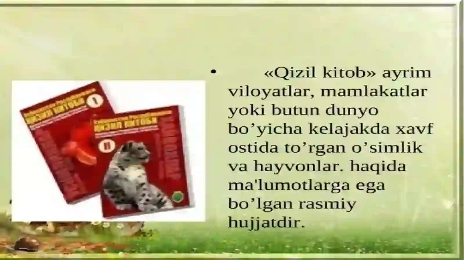 O'zbekistonga qizil kitobga kiritilgan hayvonlar va o'simliklar 4