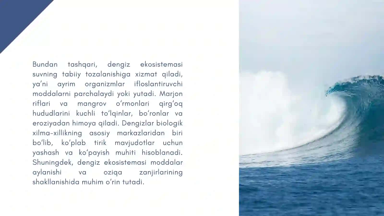Dengiz sistemasi. Xizmatlari 4