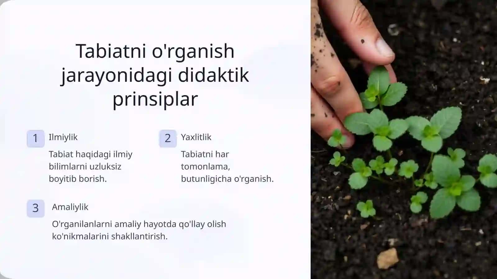 Martoyida Tabiat bilan tanishtirish mashg'ulotlari 4