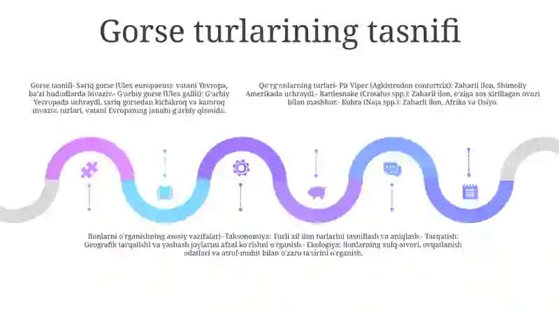 Qorgonlarning Turlari Va Ularni O`Rganishni Asosiy Vazifalari 4