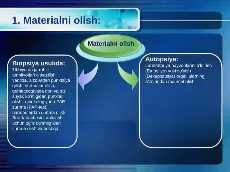 Gistologik preparatlarni tayyorlash texnikasi. Mikoskopiya tadqiqot usullari. 4