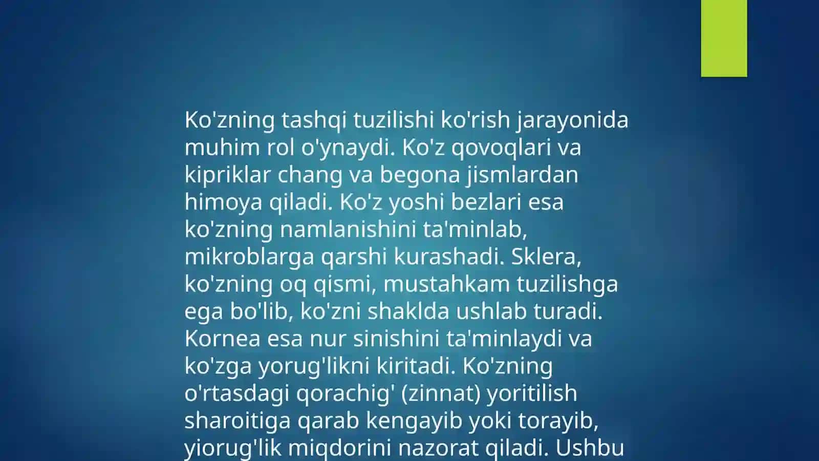 Ta'm bilish va hid bilish azolarining funksional anatomiyasi 4