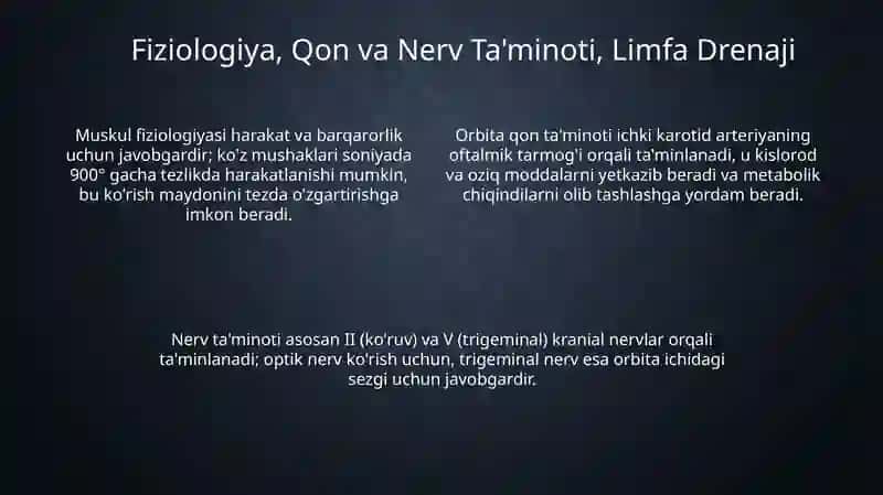 Orbita ichki mushak-skelet to‘qimalari 4