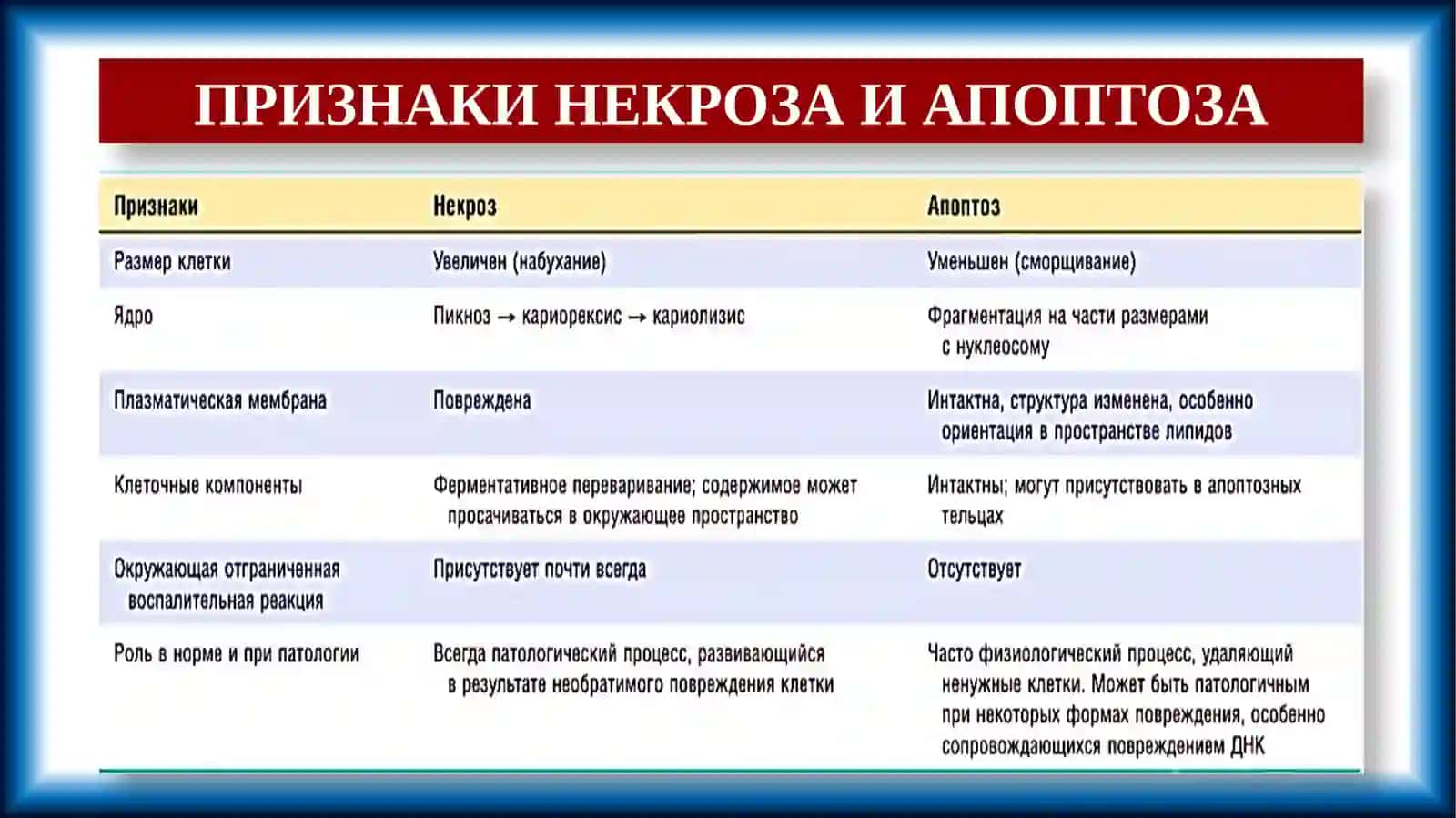НЕКРОЗ. АПОПТОЗ. КЛИНИКО-АНАТОМИЧЕСКИЕ ФОРМЫ. СМЕРТЬ. ПРИЗНАКИ СМЕРТИ. ХАРАКТЕРНЫЕ ОСОБЕННОСТИ У ДЕТЕЙ 4