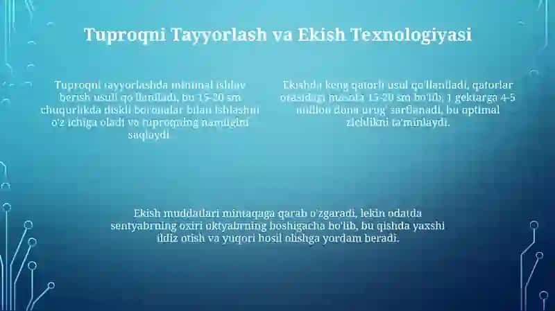 Javdar yetishtirish texnologeyasi 4