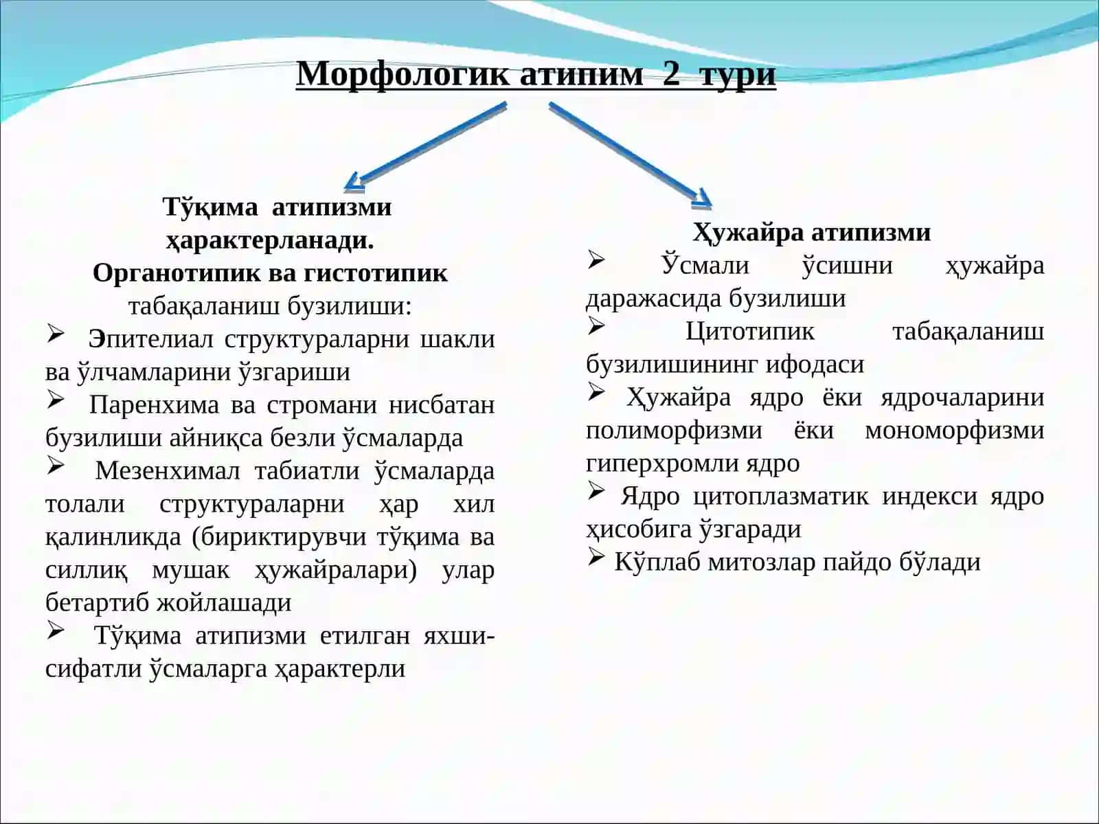 Патологик Анатомия Ва Секция Курси Лекция 12-13 4