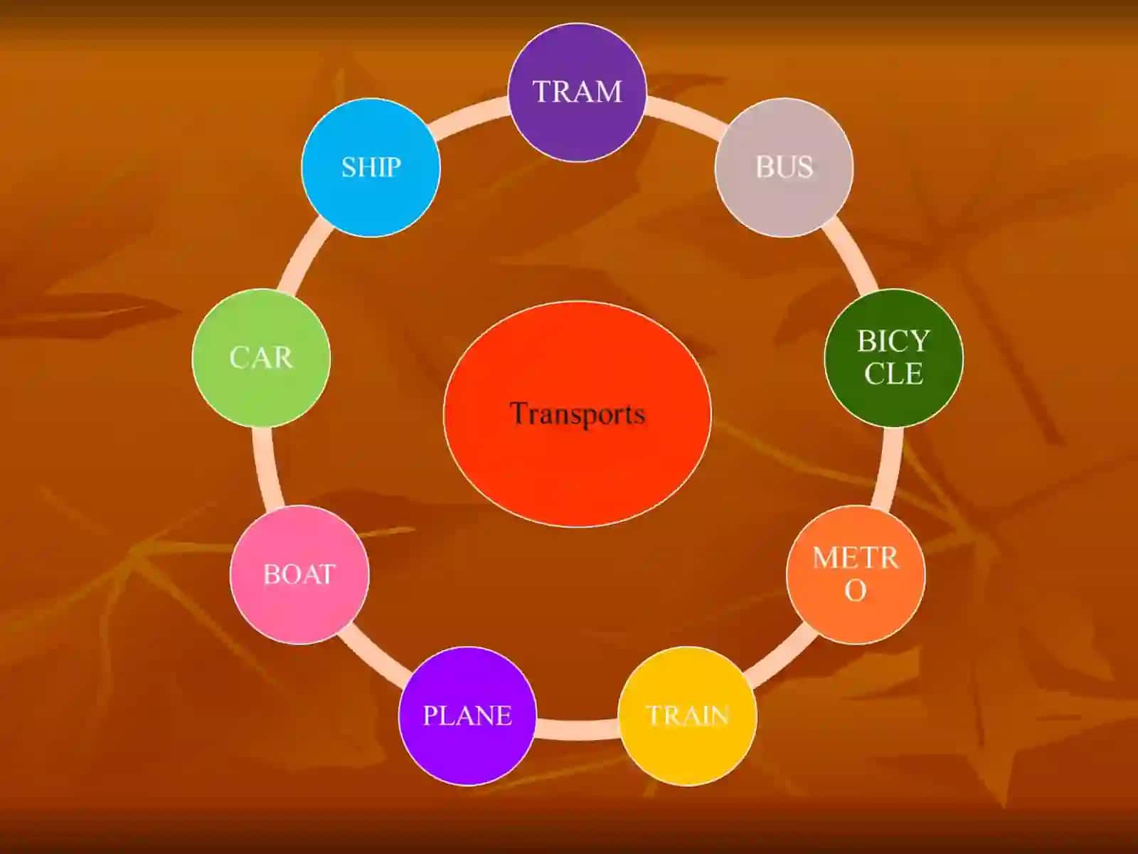 What’s the best transport? 4