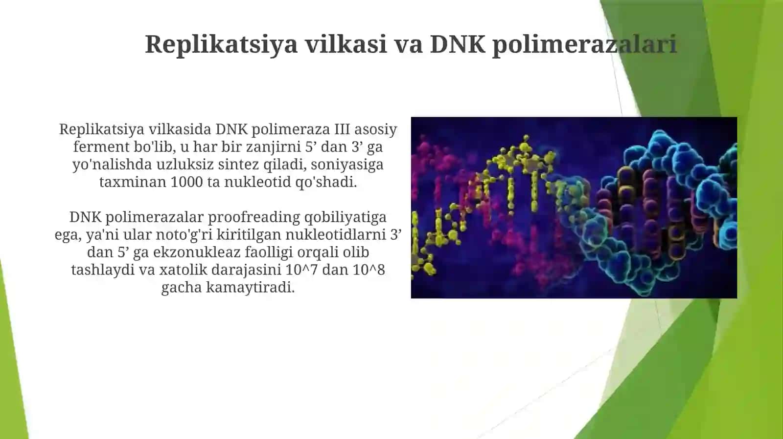 DNK replikatsiyasi va rekombinatsiyasining molekulyar mexanizmlari 4