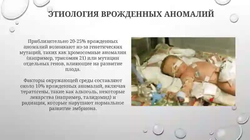 Лечебное дело 2 4