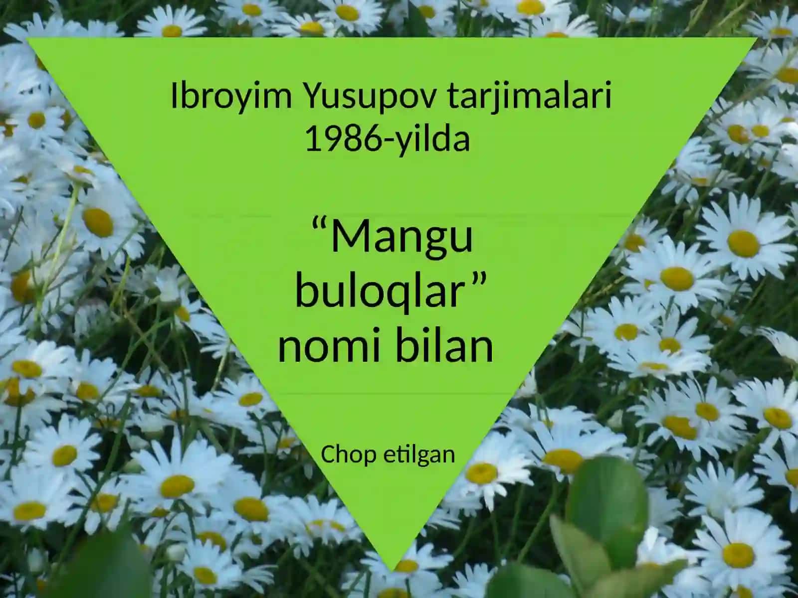 6-sinf Adabiyot fanidan Ibroyim Yusupov hayoti va ijodi dars taqdimot 4