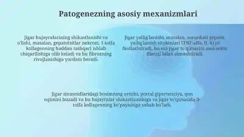 Jigar sirozi etiologiyasi, patogenezi va patalogik anatomiyasi 4