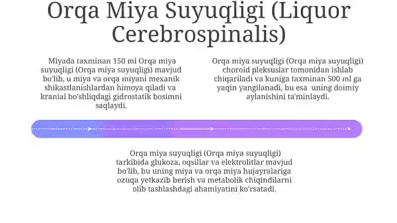 Orqa Miya Pardalarining Funksiyalari 4
