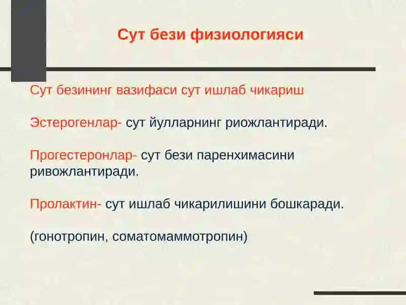 Сутбези 4