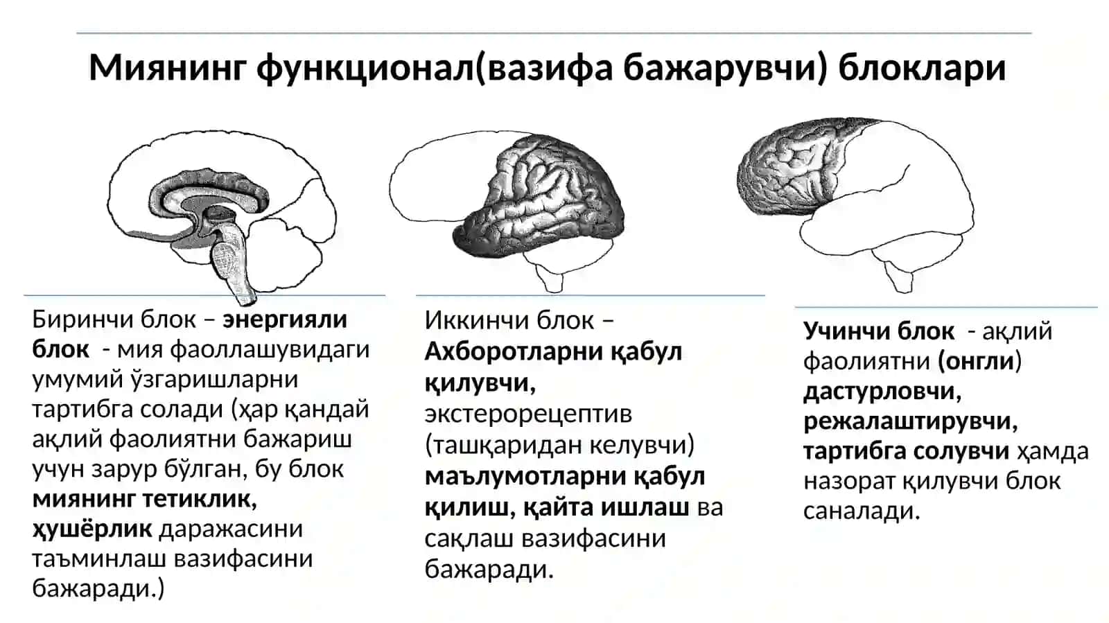 Онг ҳақидаги психологик тасаввурлар. Онг психологиянинг тадқиқот предмети сифатида. 4