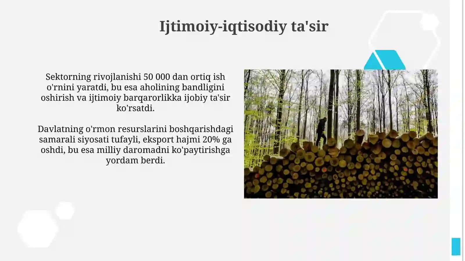 Estoniya oʻrmon va yogʻochsozlik sanoati rivojlanishining uziga hos jihatlari 4