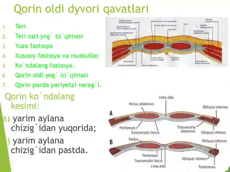 Qorin old-yon devori rivojlanish nuqsonlarida operatsiyalar 4