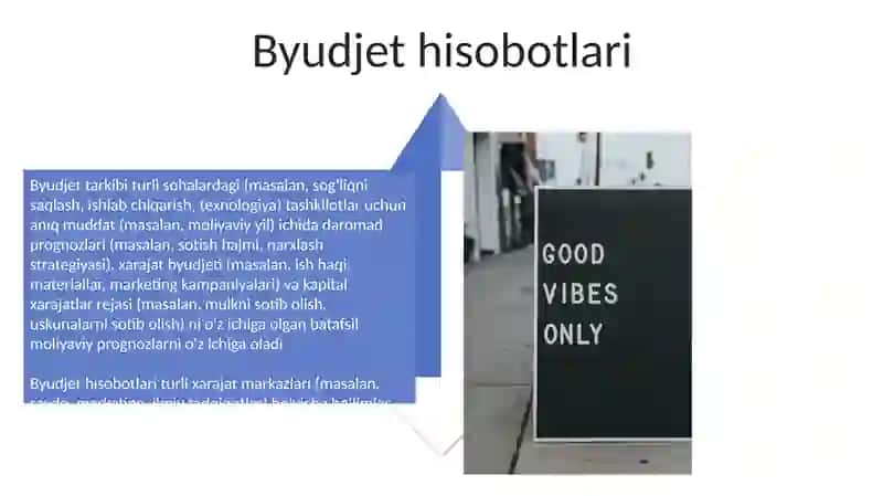 Byudjet xisobining standartlari va ularning mazmuni 4