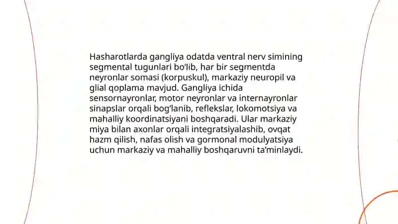 Hasharotlarning nerv, qon aylanish va ayiruv sistemalari 4