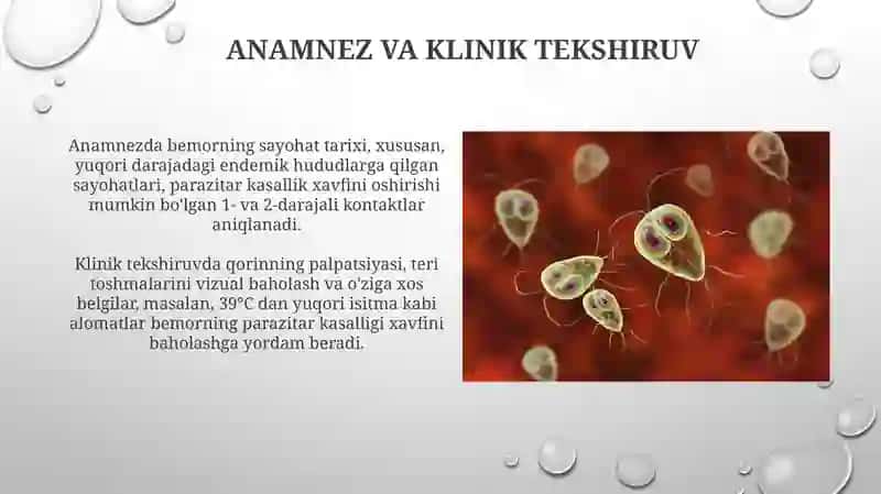 Parazitar kasalliklarning diagnostik usullari 4