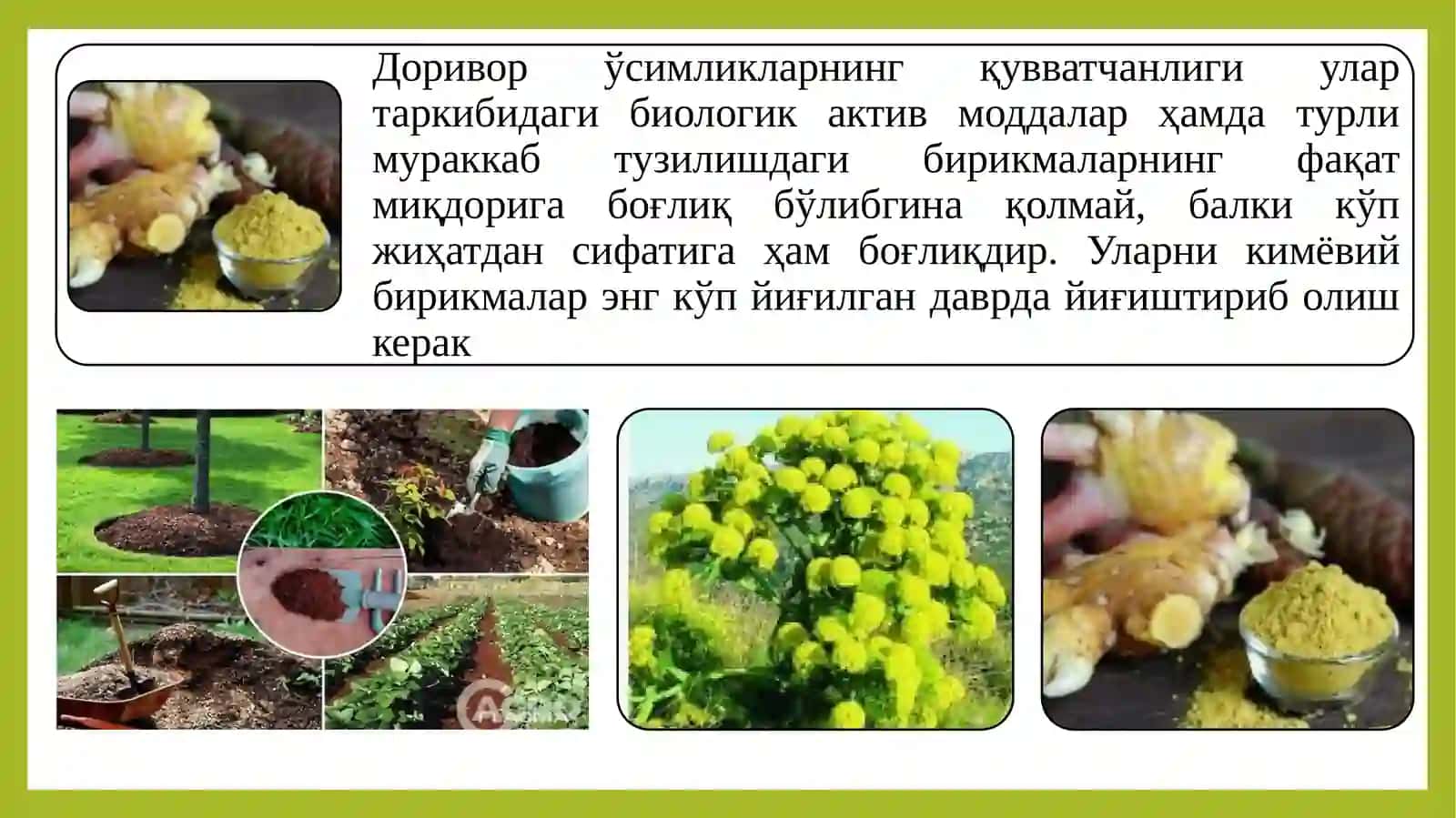 ДОРИВОРЎСИМЛИКЛАРХОМАШЁСИНИ ИШЛАТИШГАТАЙЁРЛАШ 4
