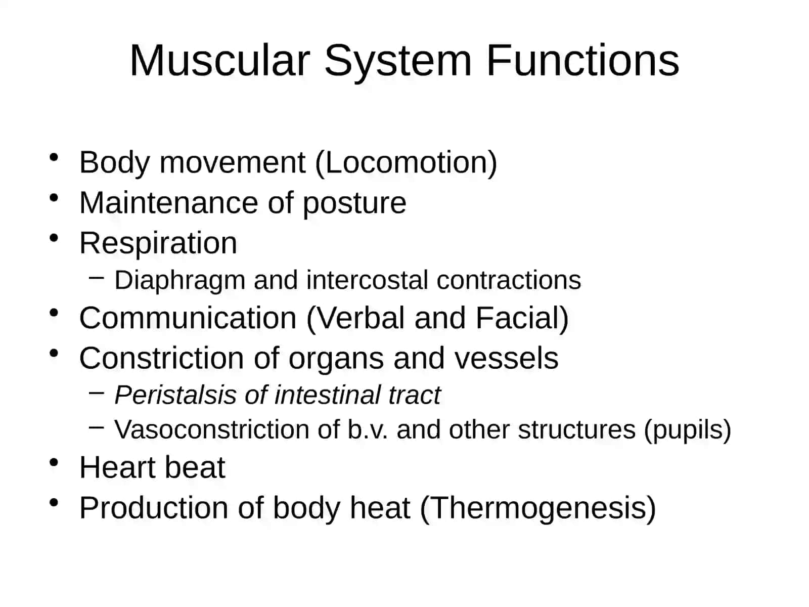 Skeletal Muscle Physiology 4