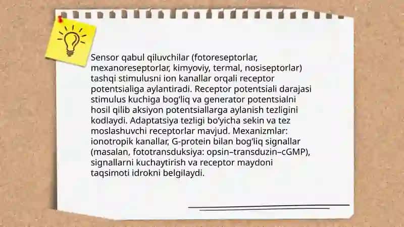 Idrokning neyrofiziologik mexanizmlari 4