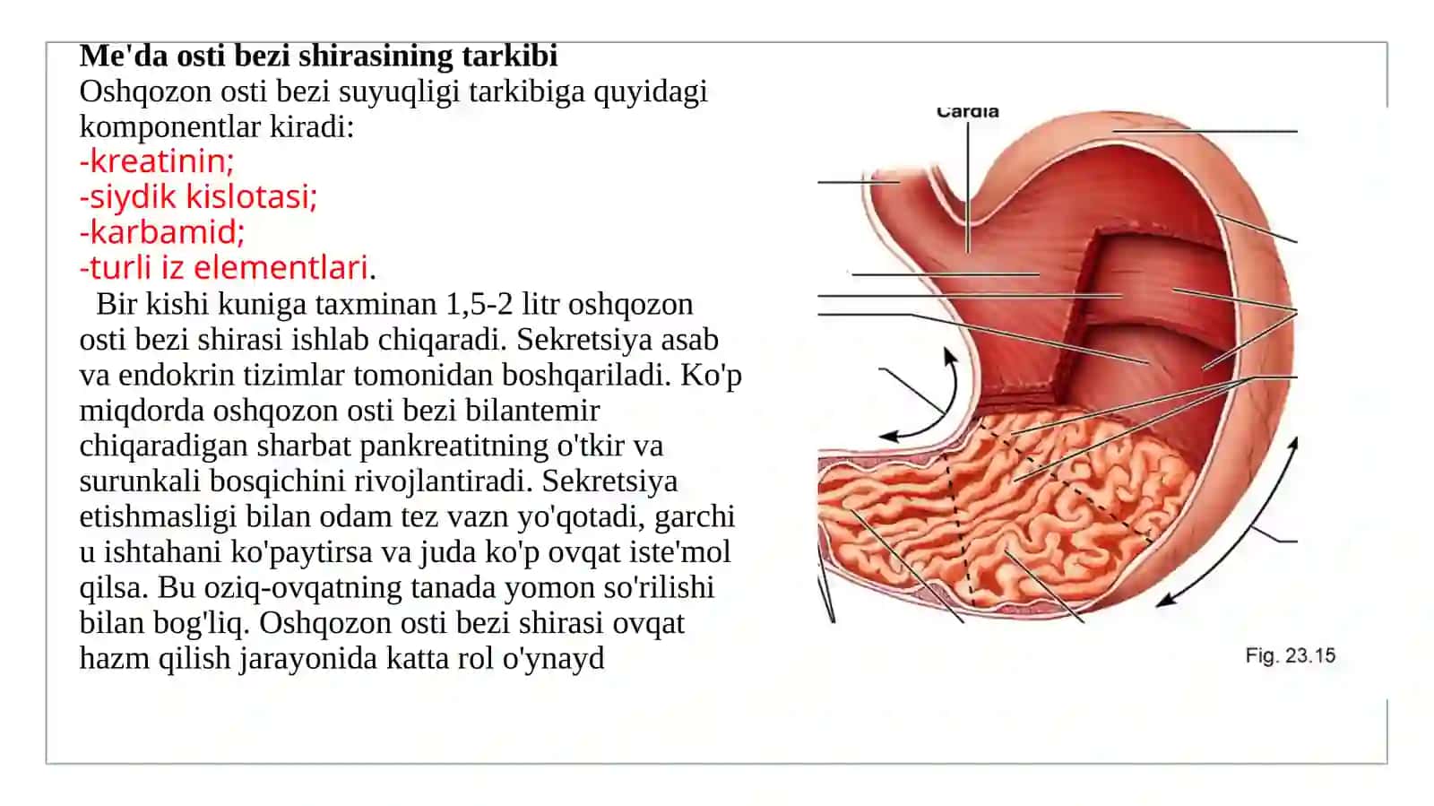 Oshqozon shirasining interpretatsiyasi 4