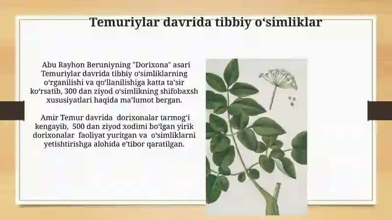 O‘zbekistonda dorivor o‘simliklar introduksiyasining tarixi 4