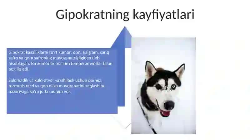Temperament va uning nazariyalari 4
