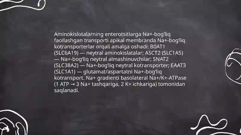 Oziq moddalar qonda so'rilish mekhanizmi 4