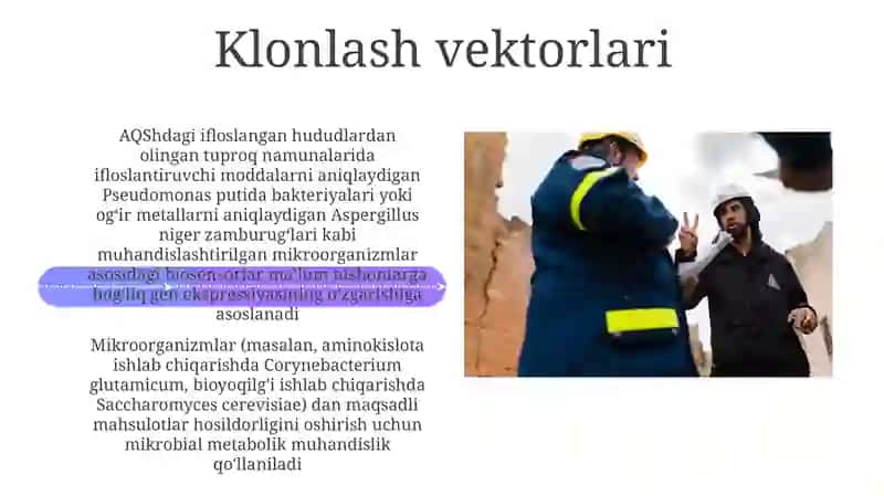 Mikroorganizimlarning gen muhandisligida qo‘llanilishi 4