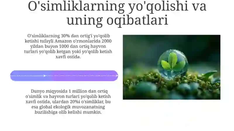 O'simliklarning inson va biosferada tutgan o'rni va muhofazasi 4