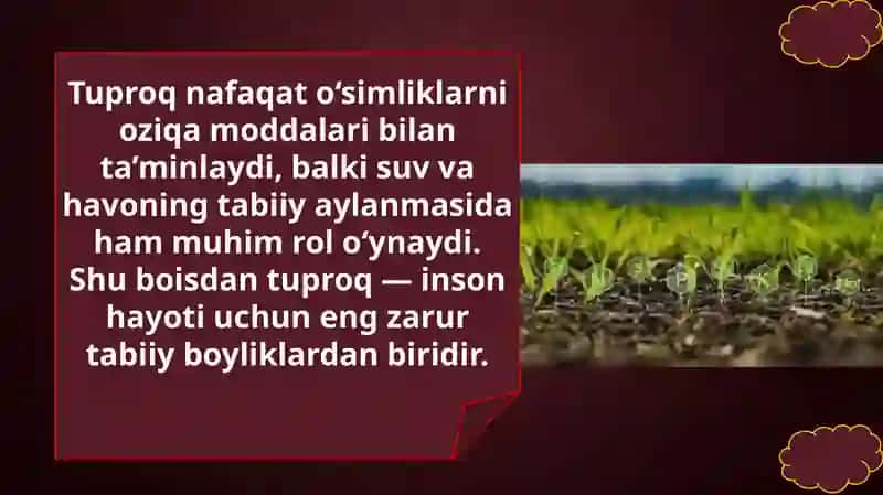 Tuproq va uning tabiiy xususiyatlari 4