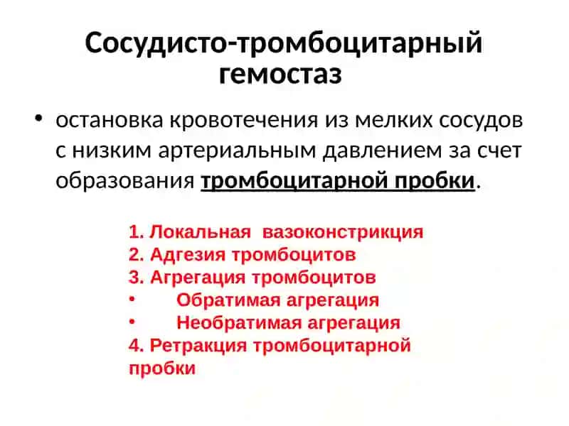 ФИЗИОЛОГИЯ СИСТЕМЫ КРОВИ.ГЕМОСТАЗ 4