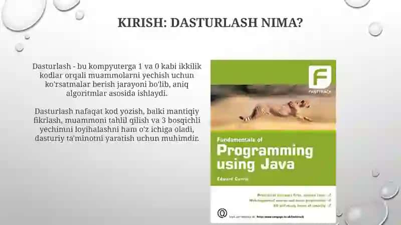 Dasturlash asoslari fanining umumiy tasnifi 4