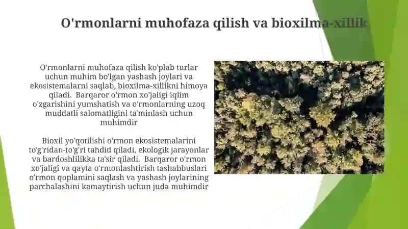 Oʻrmon xoʻjaligi 4