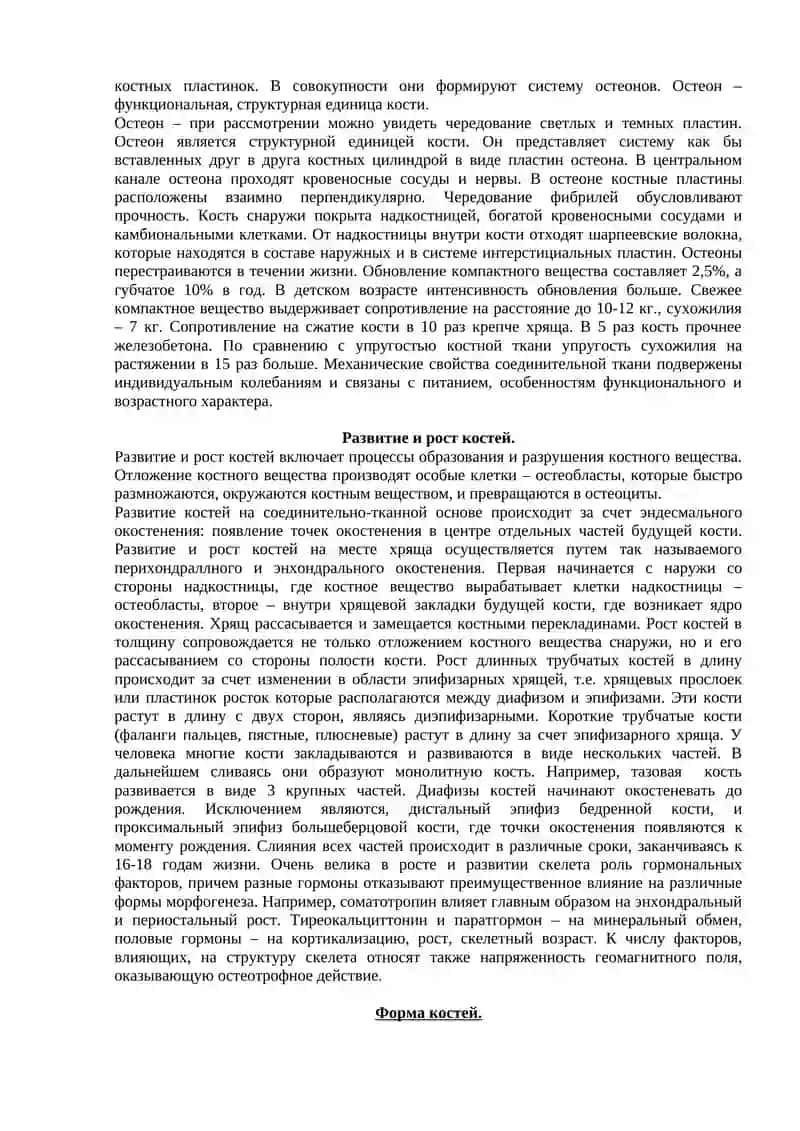 Общая анатомия костной системы 4